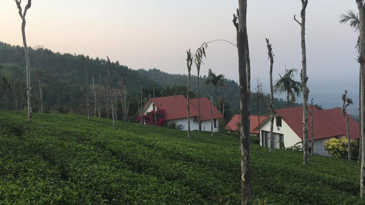 Tea Terrace Vythiri Hotel Ваянад Екстериор снимка