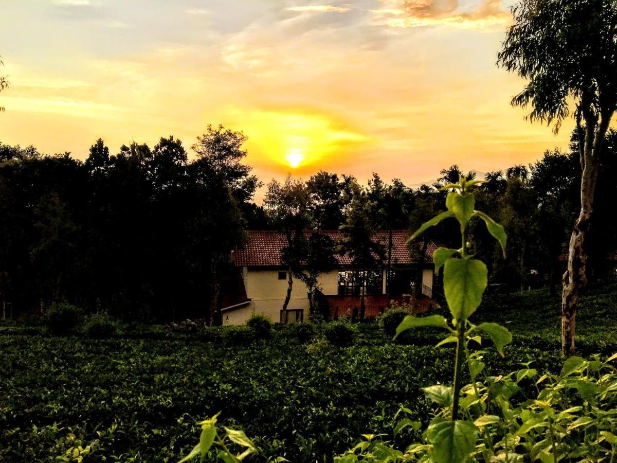 Tea Terrace Vythiri Hotel Ваянад Екстериор снимка