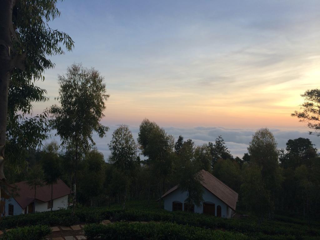 Tea Terrace Vythiri Hotel Ваянад Екстериор снимка