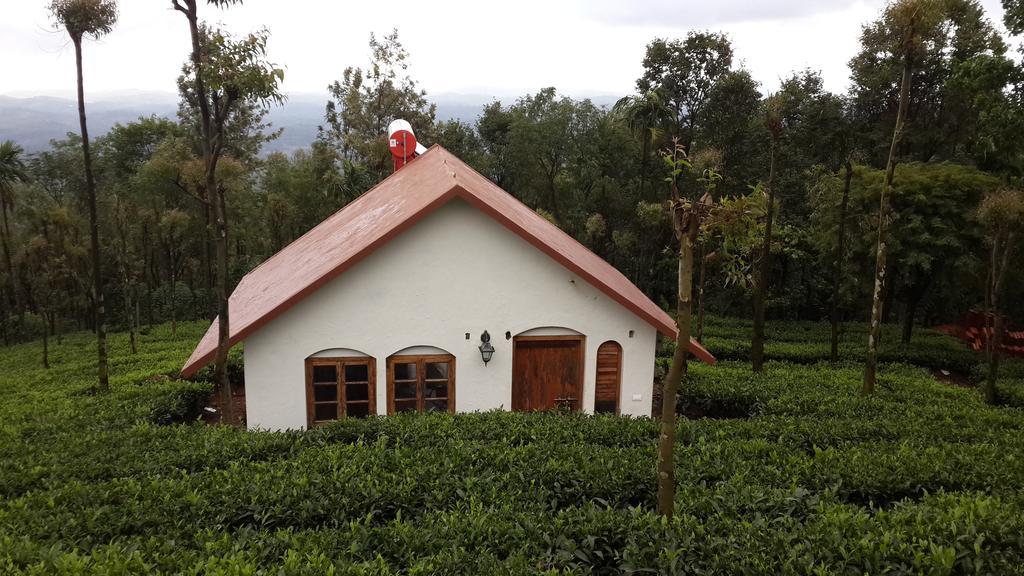 Tea Terrace Vythiri Hotel Ваянад Стая снимка