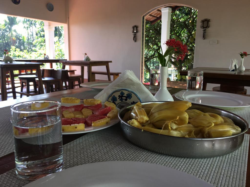 Tea Terrace Vythiri Hotel Ваянад Екстериор снимка